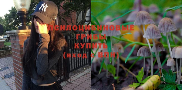 jwh Лиски